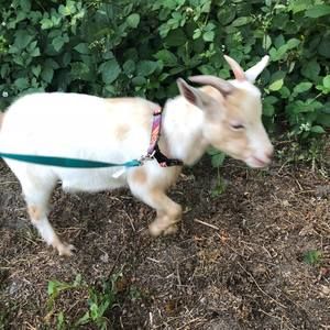 Meet your Posher, Yvonne